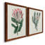 Protea N13 - Ensemble de 2 peintures sur toiles encadrées-2116893549-2116893550