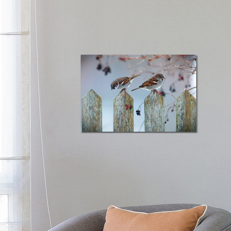 House Sparrows 1 Piece Wrapped Canvas Wall Art, 66.04 cm H x 45.72 cm W x 3.175 cm D