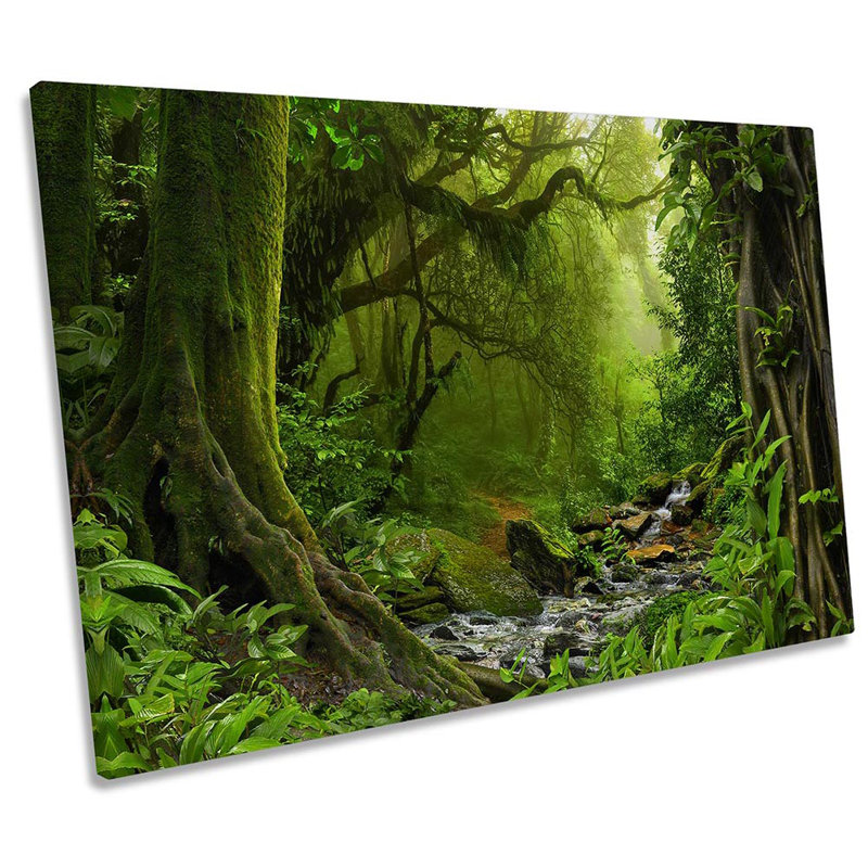 Z2556 Rain Forest River Landscape - Wrapped Canvas Print, 40.6cm H x 61cm W x 2cm D
