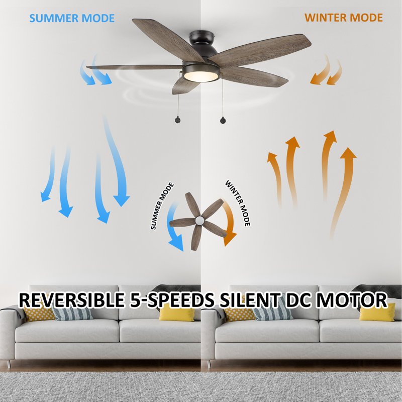 Gurdip 5-blade pull chain ceiling fan with light