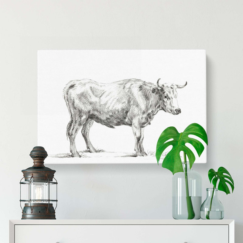 Sketch Of A Bull by Jean Bernard - Wrapped Canvas Print, 50cm H x 76cm W x 3cm D