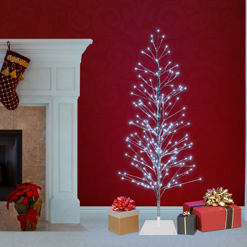 Arbre de Noël en cèdre argenté 5 'H avec 5 lumières DEL, Transparent / lumières blanches