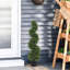 Bonsaï décoratif-402166566