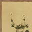 Petite Study Triptych Painting by Hannah Winters-1295908820