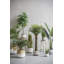 Pot Planter