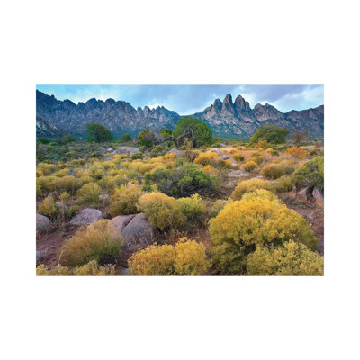 Organ Mountains, Chihuahuan Desert, New Mexico II by Tim Fitzharris - Wrapped Canvas Print