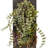 25'' Faux Plant