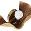 Ravello 1 - Light Flush Mounted Sconce