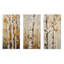 «American Basswood II», ensemble de 3 impressions sur métal arbre beige-103227915