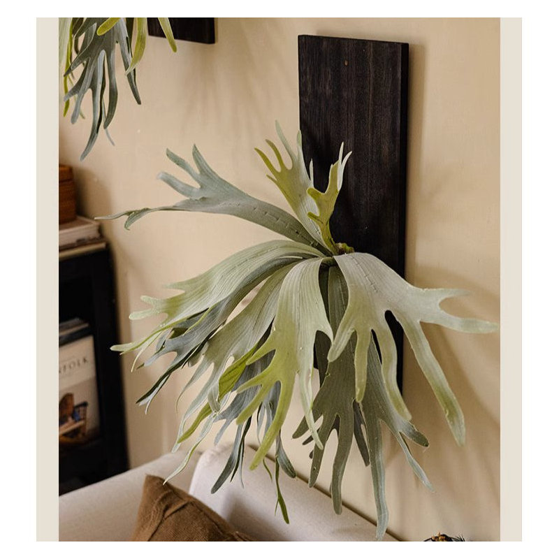 Fougère artificielle sur fond en bois massif, H 25,59 po x l 25,59 po x P 4 po