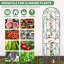 Ensemble de treillis de jardin Pirton, ensemble de treillis en métal 60 po x 16 po-1052131129