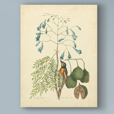 «Bird and Botanical II», reproduction d'impression sur toile tendue