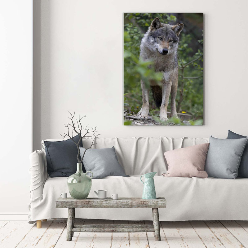 A Wolf In The Forest - Wrapped Canvas Print