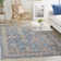 Calabria Southwestern Area Rug