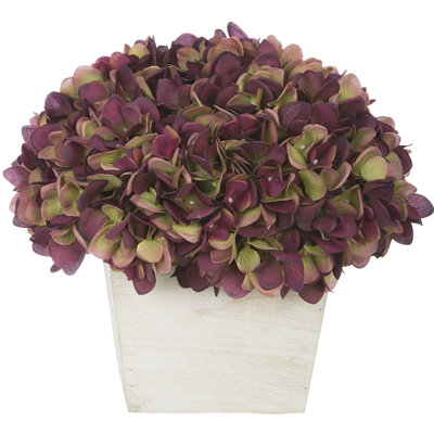 Hydrangea Arrangement in Planter