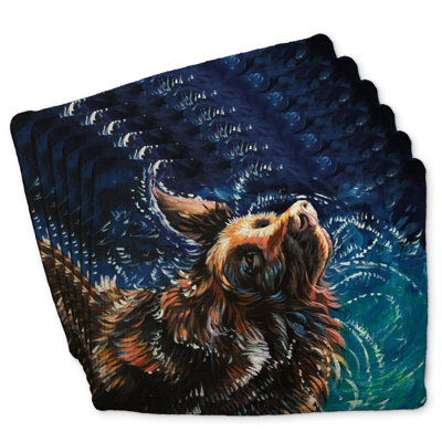 Braided Polyester Bonniview Set of 6 | Home Decor - Wet Retriever