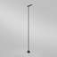 Birdie LED Bollard Light