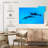 Brampt Maui Spinner Dolphins-108815034