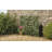 Alvild 100cm H x 200cm W Wood Expanding Trellis