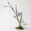 Tige fantaisiste d'iris - 29,9 po-854989633-854989632