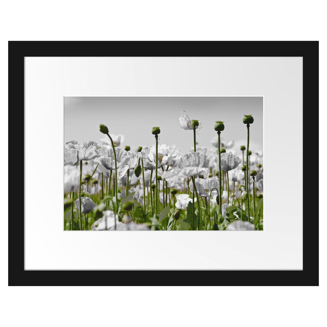 Gerahmtes Poster Blumenwiese Mohnblumen