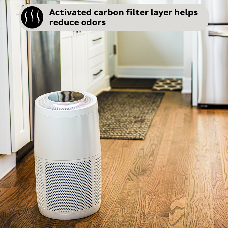 Purificateur d'air instantané avec véritable HEPA, Perle