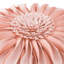  Housse et insert de coussin décoratif en tournesol Appliqued-717990382-717990373