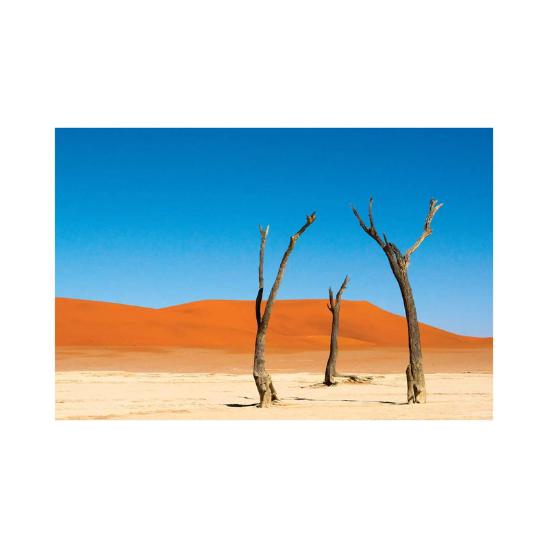 Dead Acacia Trees In Deadvlei, Sossusvlei, Namib-Naukluft Np, Southern Narim Desert, Namibia by Keren Su - Wrapped Canvas Print