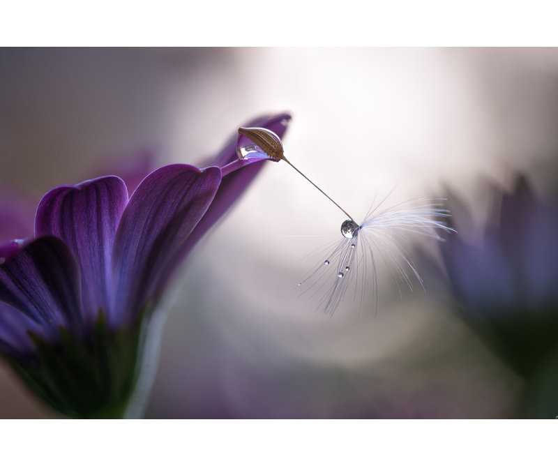 Wrapped Canvas Print, 50.8 cm H x 76.2 cm W