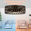 Ventilateur de plafond 20,9 po Phinney