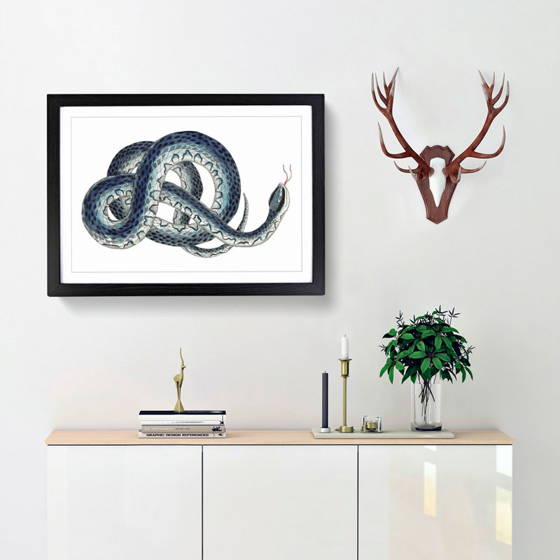 Blue Snake by George Shaw - Framed Print, 35cm H x 50cm W x 2cm D, Black