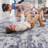 Stain 5X7 Grey Area Rug - Non-Shedding, For A Beautiful Bedroom And Entryway , Make Your Living Stylish-1772300761