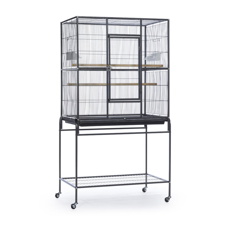 Cage à oiseaux 59,25 po, Noir