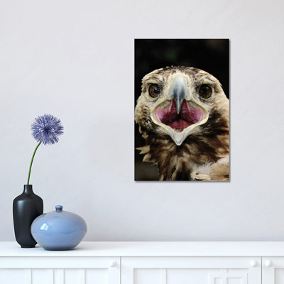 Eagle 1 Piece Wrapped Canvas Wall Art