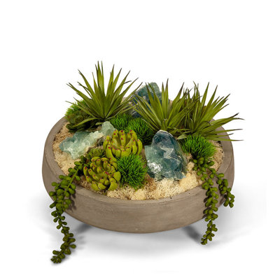 Plant in Concrete Pot