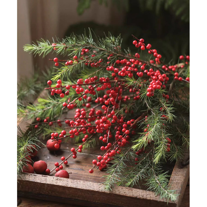 Fausse tige rouge d'hiver, 3