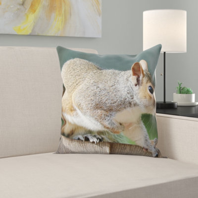 Coussin écureuil