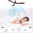 52" Ceiling Fan Wood Blades Ceiling Fan With Light And Remote Control