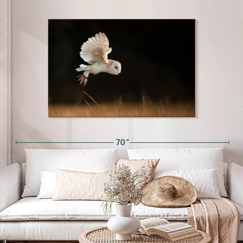 Barn Owl Beauty, 20" H x 30" W