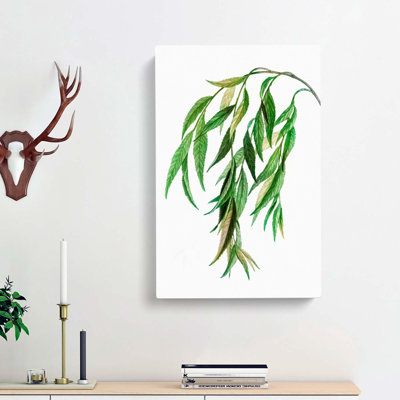 Weeping Willow Tree Branch by Pierre-Joseph Redoute - Wrapped Canvas Painting