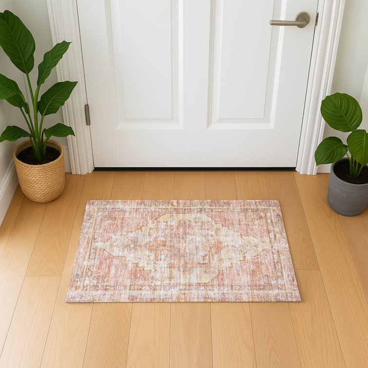 Premium Machine Washable Lucchesi AMF1729 Global Rug