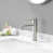 Brushed Nickel selected