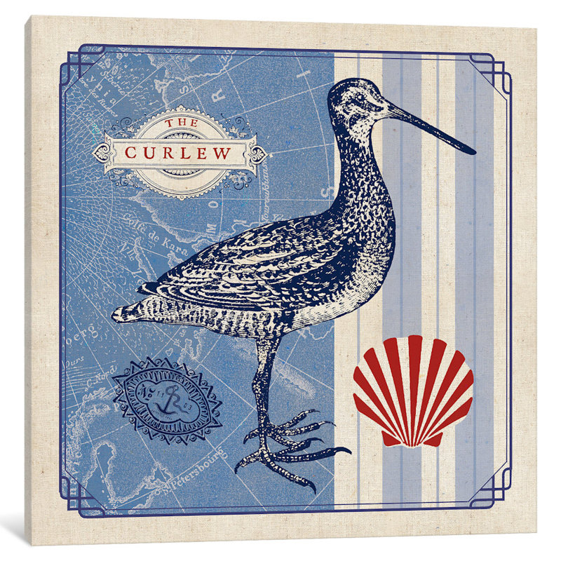 « iii », impression sur toile tendue Sea Bird, H 18 po x l 18 po x P 1,5 po