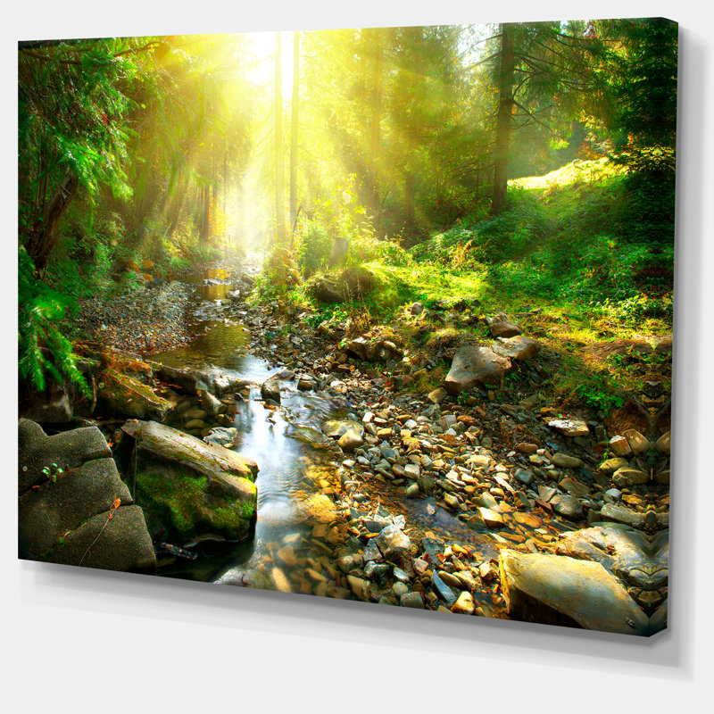 Mountain Stream in Forest Landscape Canvas Print