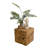 Jahmiyah Solid Wood End Table