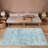 Decorative Carpet With Ivy Pattern In Traditional Anthracite Colors-532848459