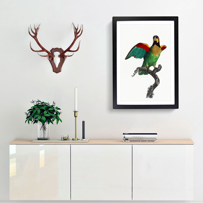 Orange-Cheeked Parrot by F. Levaillant - Picture Frame Painting Print, 48cm H x 36cm W x 2cm D, Black Framed