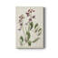 Antique Botanical Collection I - reproduction-751432422