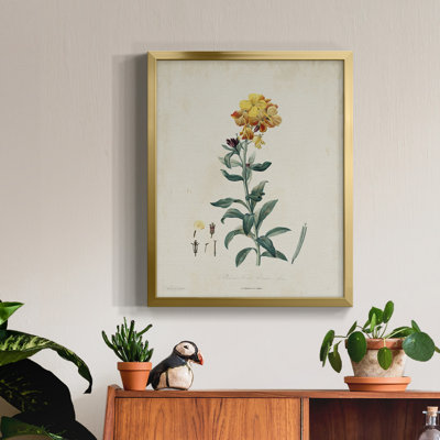 Traditional Botanical III - toile encadrée de qualité supérieure - prête à être accrochée