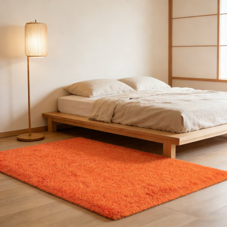Shag Rug for Living Room, Soft Orange Area Rug, Non-Slip Carpet for Bedroom Nursery Kids Play Room Dorm Office